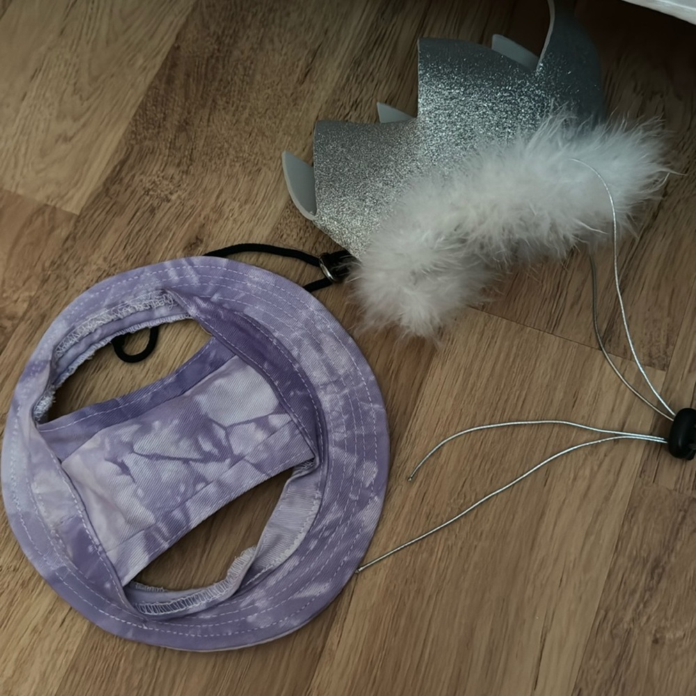 Dog headware